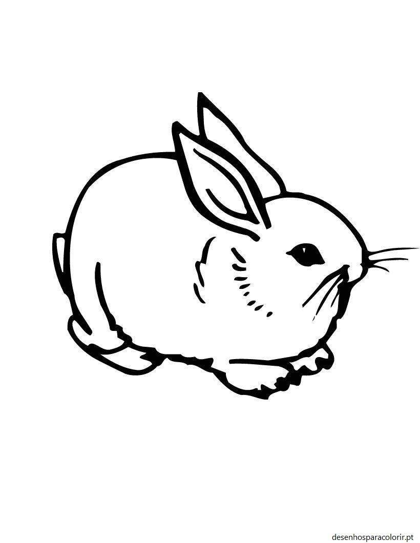 Desenhos de coelhos 18